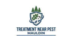 Treatment Near Pest Mauldin